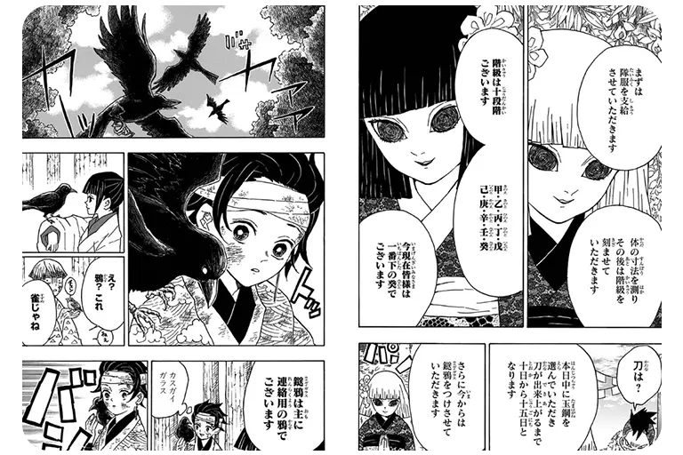 cover-01-01 Demon Slayer Japanese manga